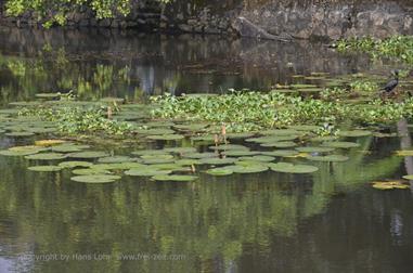 Houseboat-Tour from Alleppey to Kollam_DSC6697_H600